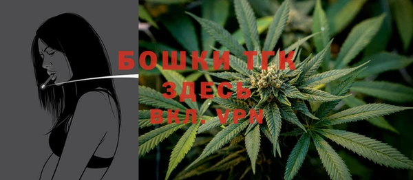 ПСИЛОЦИБИНОВЫЕ ГРИБЫ Абдулино