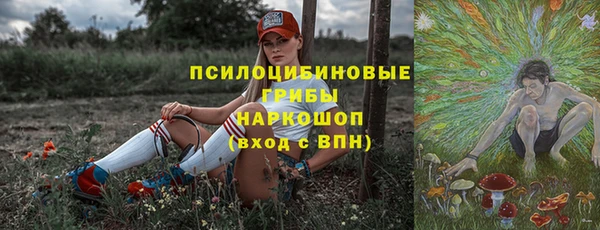 ПСИЛОЦИБИНОВЫЕ ГРИБЫ Абдулино