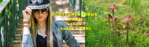 скорость Алексин