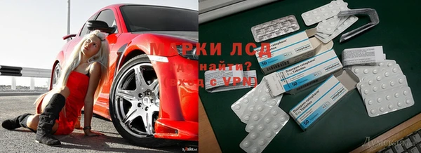 ПСИЛОЦИБИНОВЫЕ ГРИБЫ Абдулино
